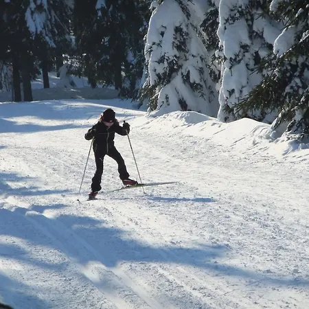 Keilbergpanorama Oberwiesenthal