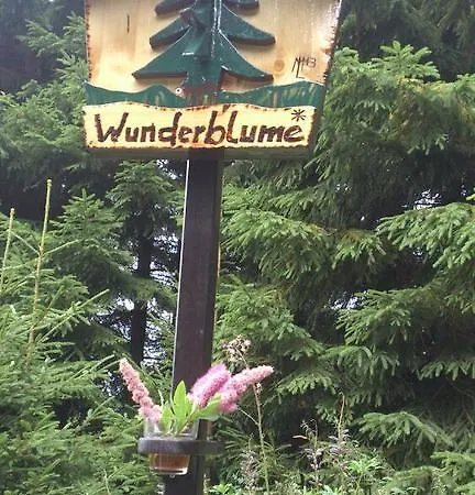 Apartment Keilbergpanorama Oberwiesenthal