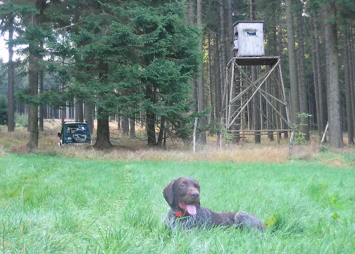 Keilbergpanorama Apartment *