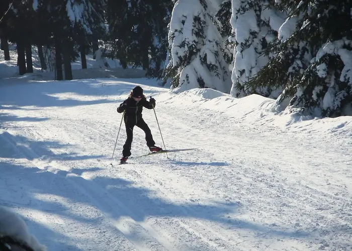 Keilbergpanorama Oberwiesenthal