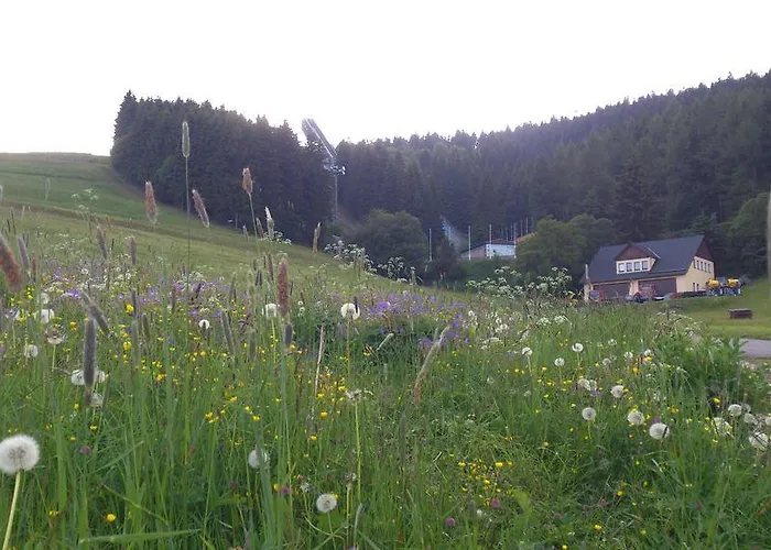 Keilbergpanorama * Oberwiesenthal